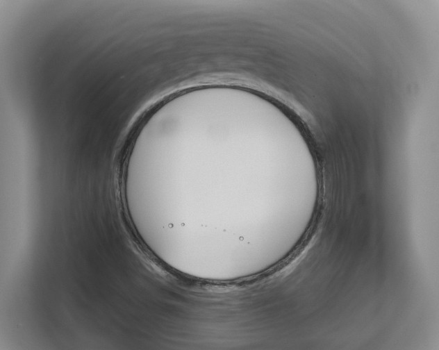 X0000112721498200908200936