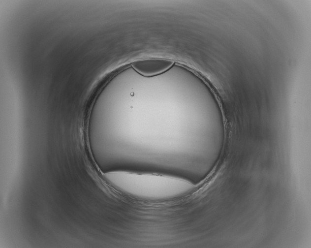 X0000112721499200908200936