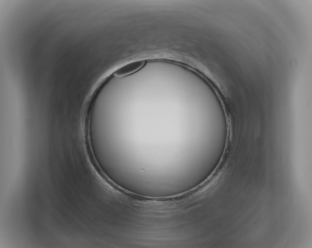 X0000112721500200908200936