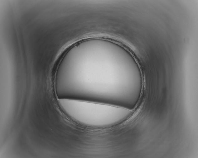 X0000112721501200908200936