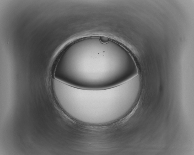 X0000112721502200908200936