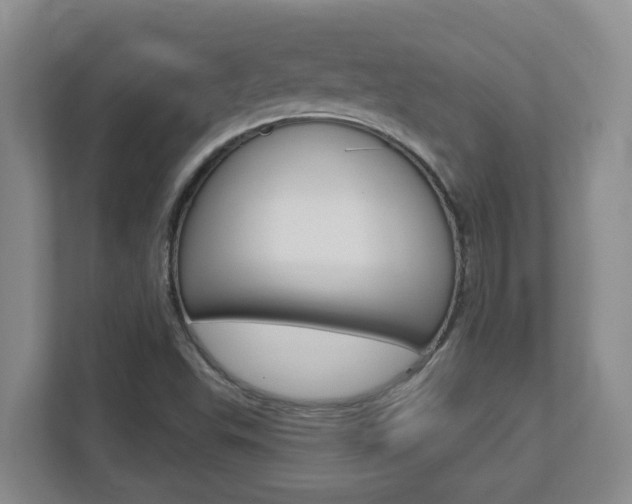X0000112721503200908200936