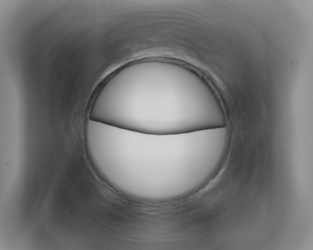 X0000112721505200908200936