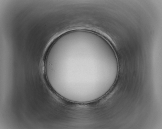 X0000112721509200908200936