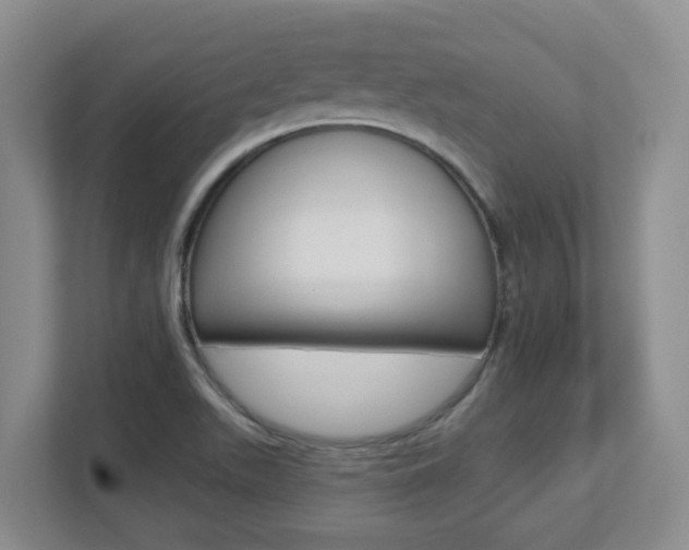 X0000112721511200908200936