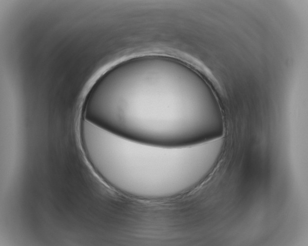 X0000112721512200908200936