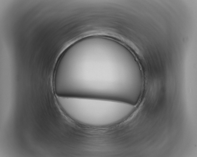 X0000112721513200908200936