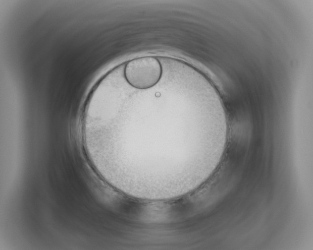 X0000112721514200908200936