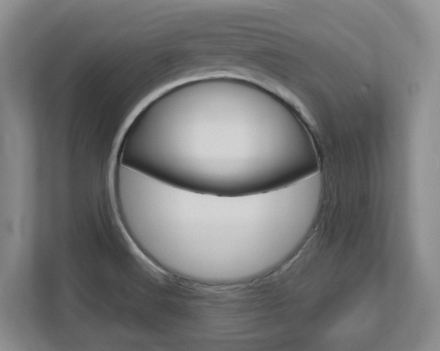 X0000112721516200908200936