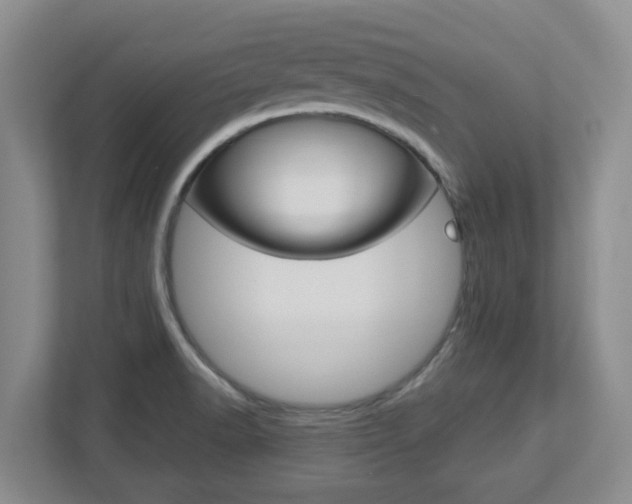 X0000112721518200908200936