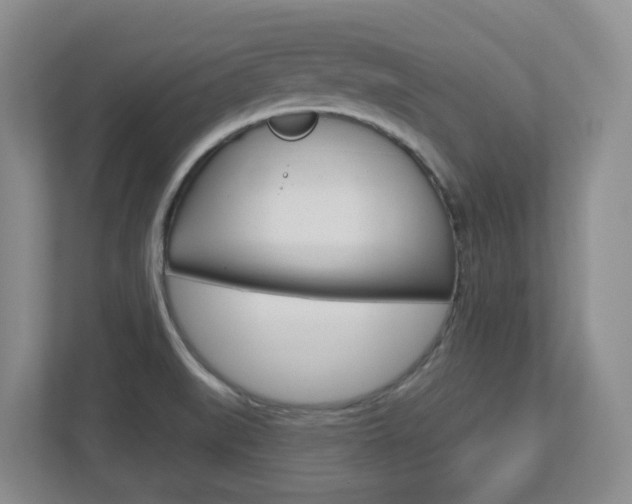 X0000112721519200908200936