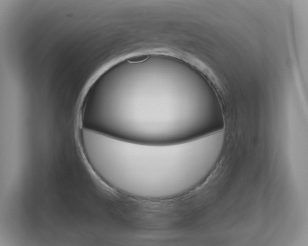 X0000112721520200908200936