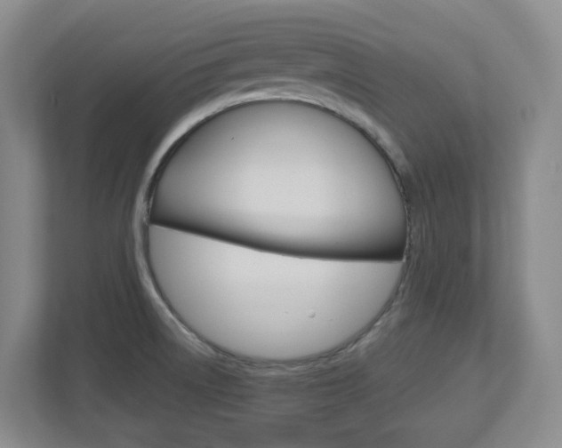 X0000112721522200908200936