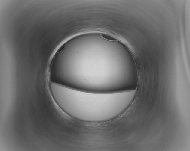 X0000112721524200908200936