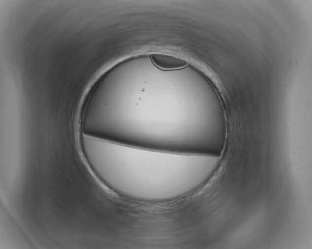 X0000112721525200908200936