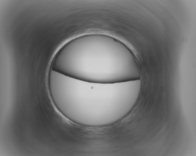 X0000112721527200908200936