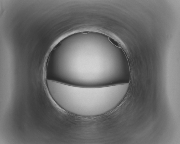X0000112721528200908200936