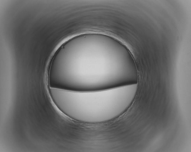 X0000112721531200908200936