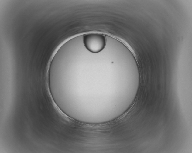 X0000112721532200908200936