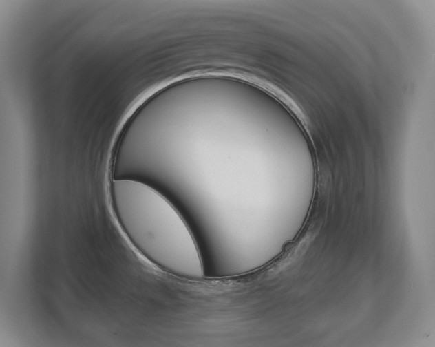 X0000112721533200908200936