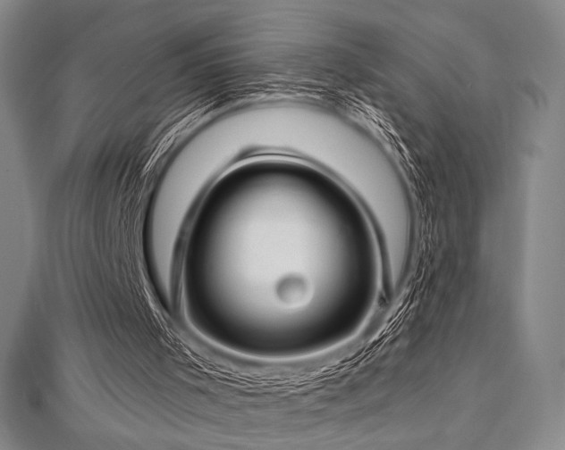 X0000112720001200908201258