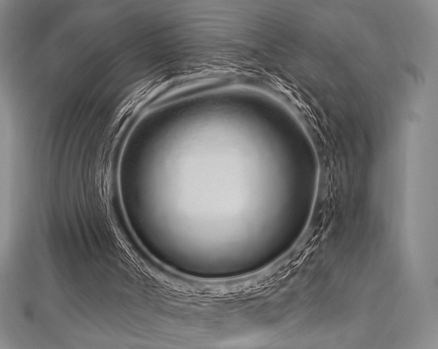 X0000112720002200908201258