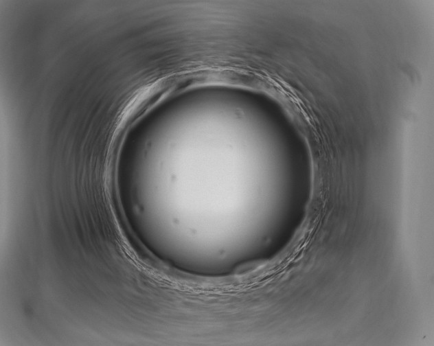 X0000112720003200908201258