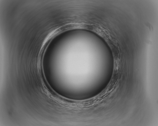 X0000112720004200908201258