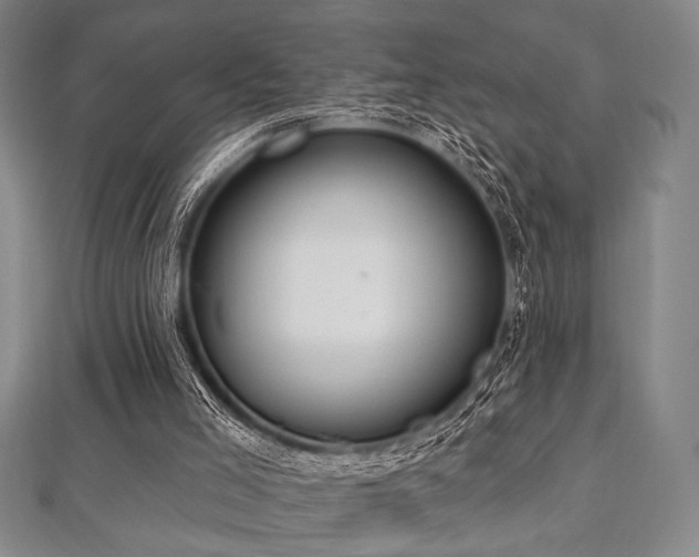 X0000112720005200908201258