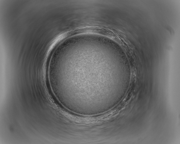 X0000112720006200908201258