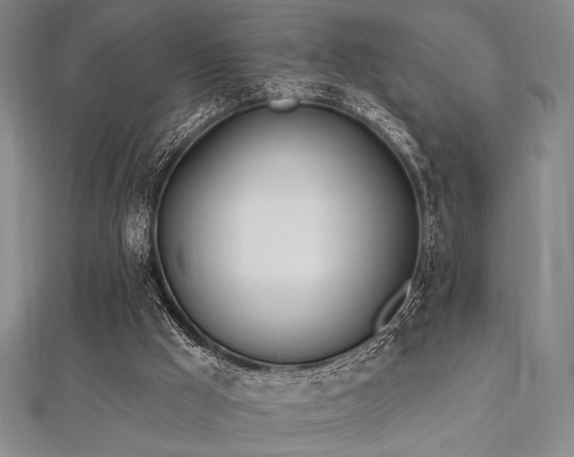 X0000112720009200908201258