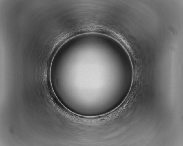 X0000112720010200908201258