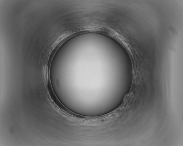 X0000112720011200908201258