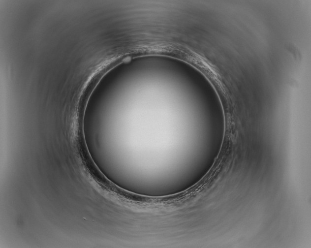 X0000112720012200908201258