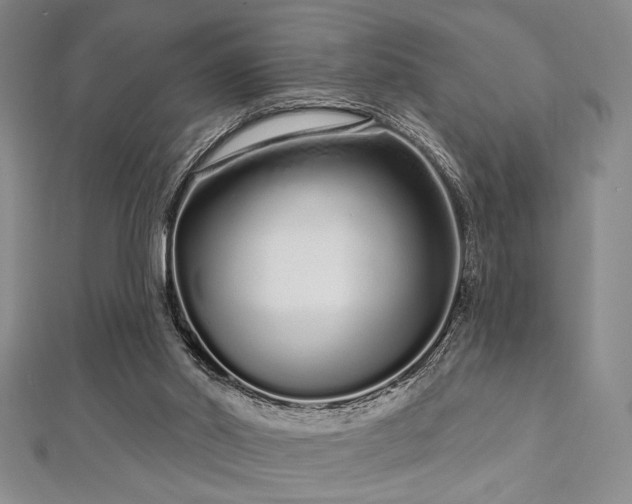 X0000112720014200908201258