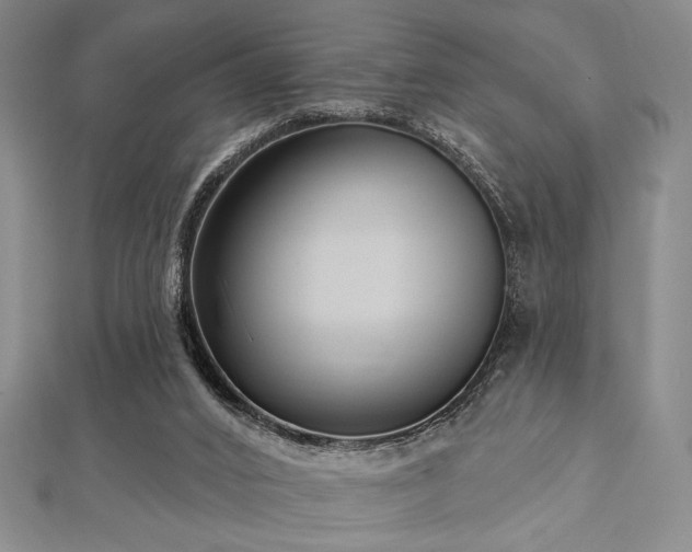 X0000112720016200908201258