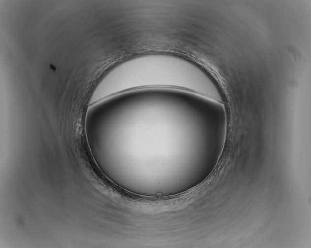 X0000112720017200908201258