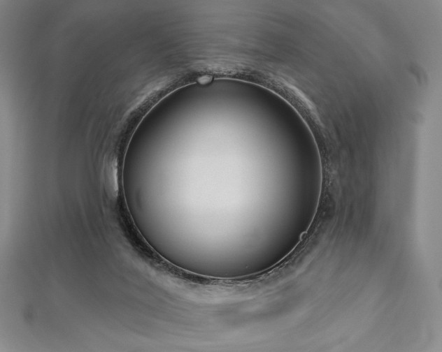 X0000112720020200908201257