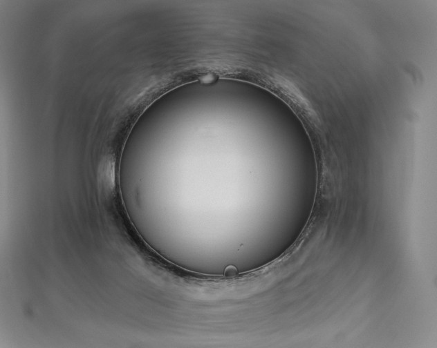 X0000112720021200908201257