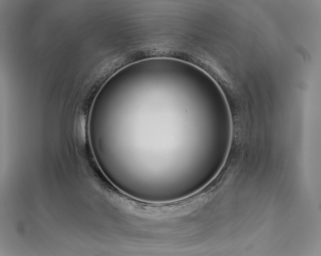 X0000112720022200908201257