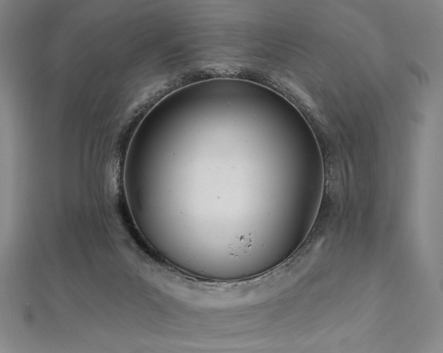 X0000112720023200908201257