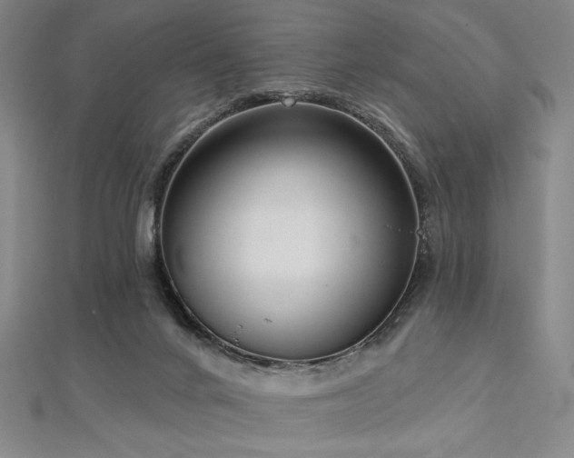 X0000112720024200908201257