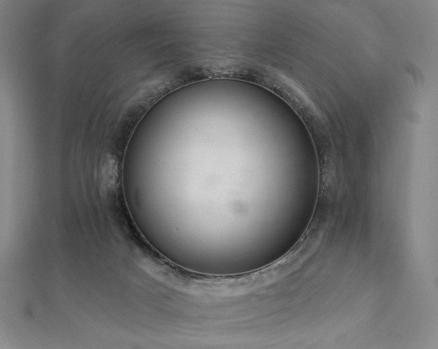 X0000112720025200908201257