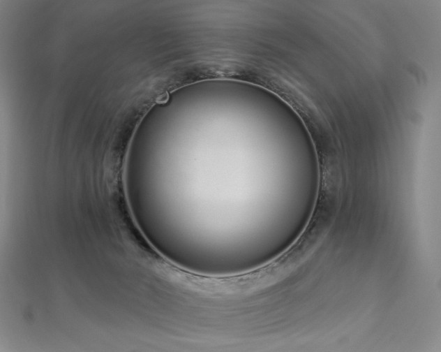 X0000112720030200908201257