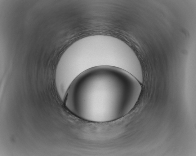 X0000112720033200908201257