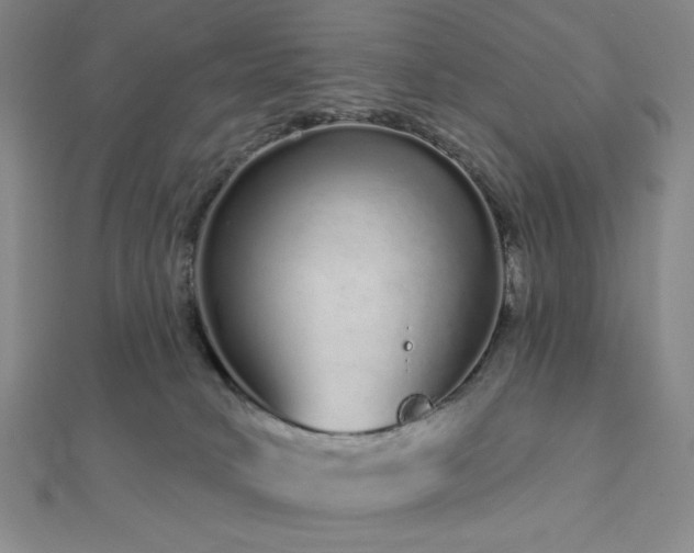 X0000112720034200908201257