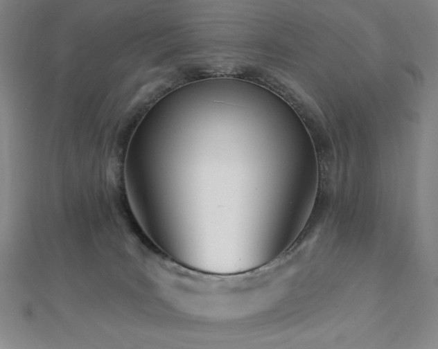 X0000112720035200908201257