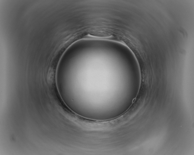 X0000112720036200908201257