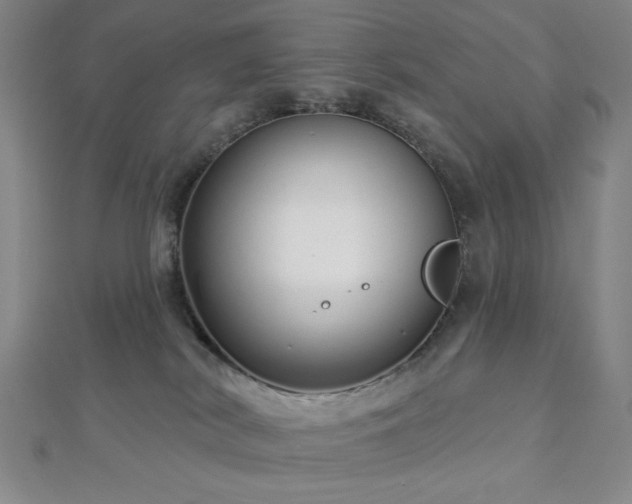 X0000112720038200908201257