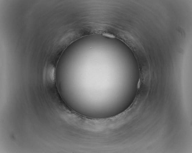 X0000112720041200908201257